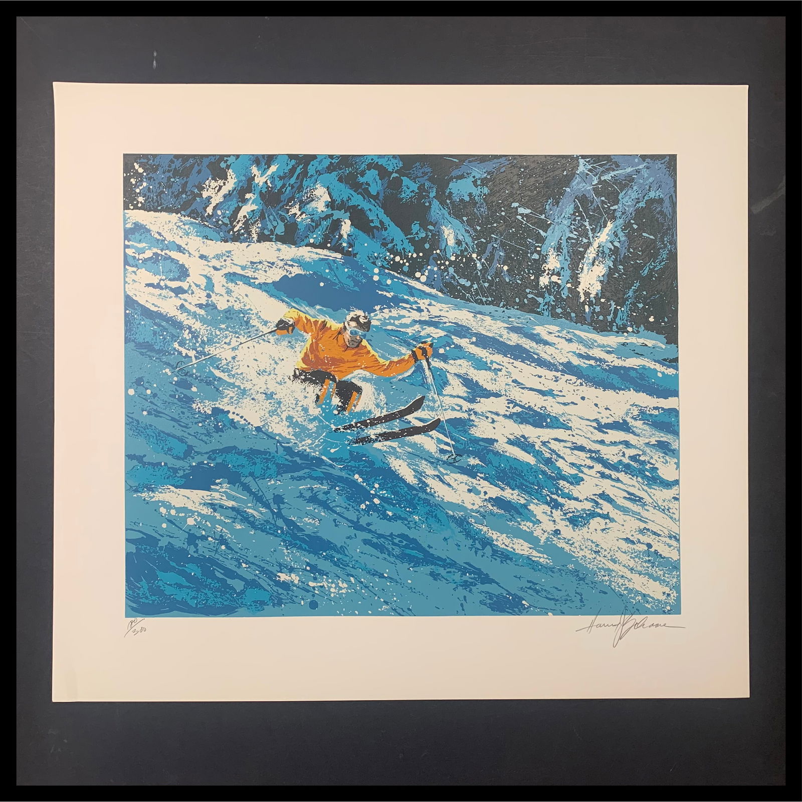 Harry Schaare's "Skiing" Limited Edition Print (1 of 1)