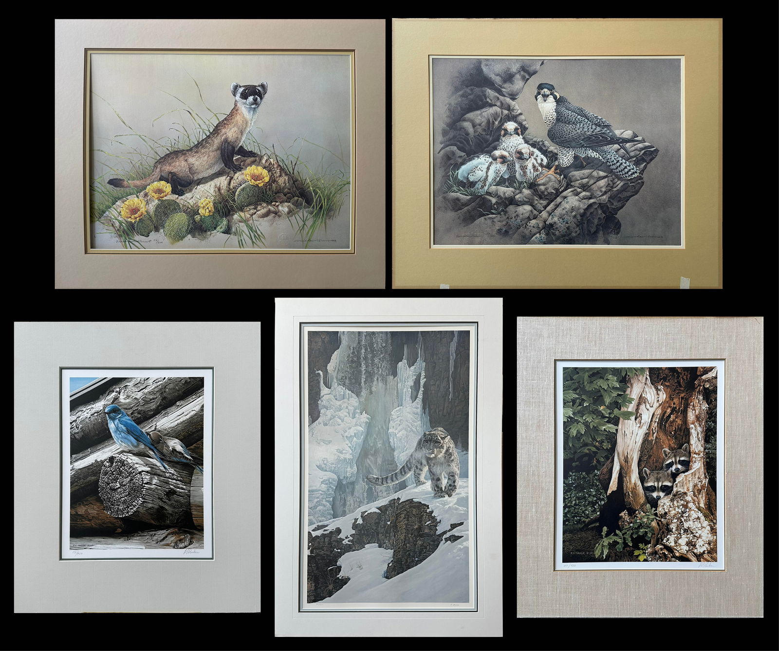 High-End Signed Wildlife Art Print Collection - R.S. Parker, Michael Dumas & Daniel Smith - Limited: This exceptional offering includes five individually signed and numbered wildlife fine art prints, all professionally matted and preserved in excellent condition. Each work captures a moment of wilder