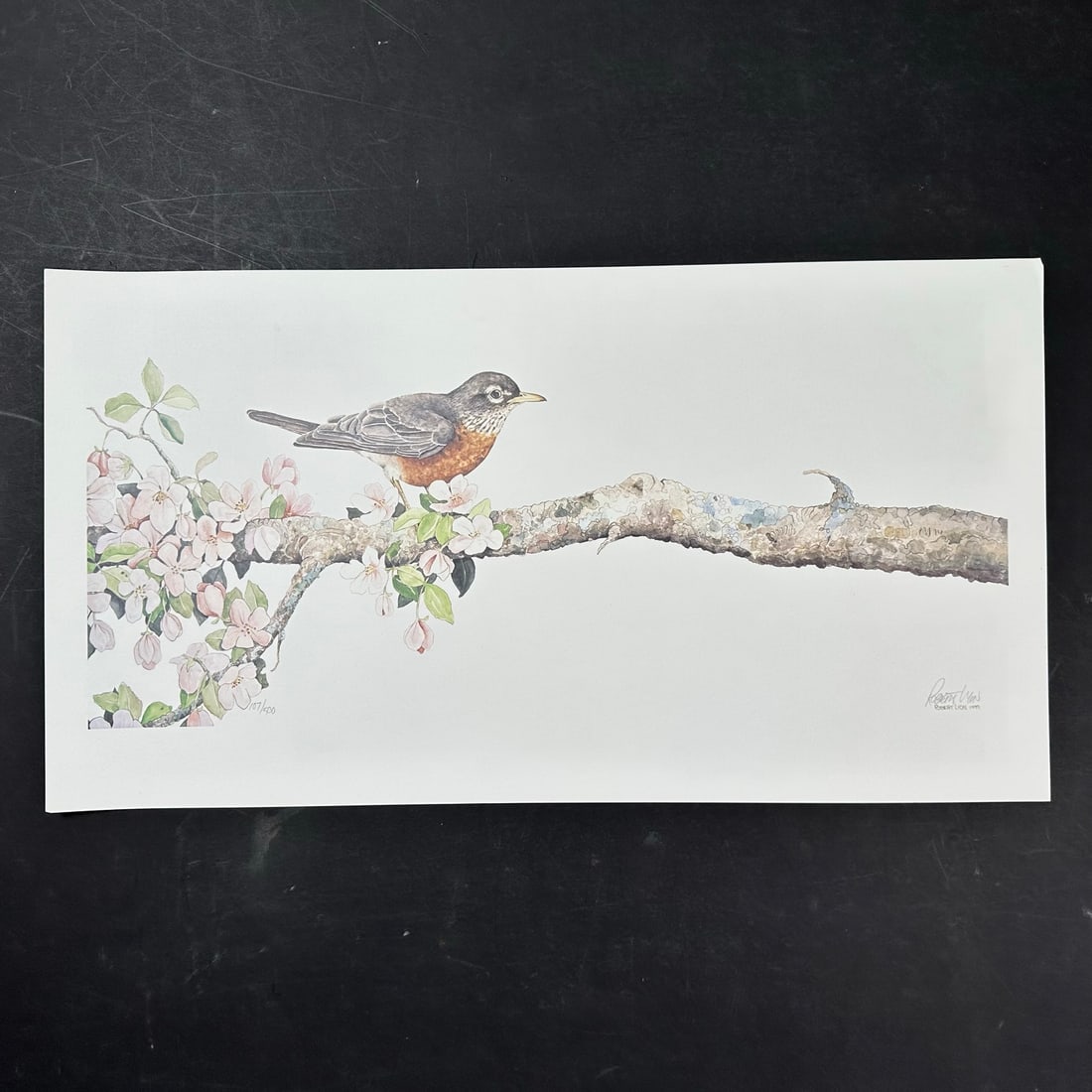 Robert Lyon, Untitled, Limited Edition Print (1 of 1)