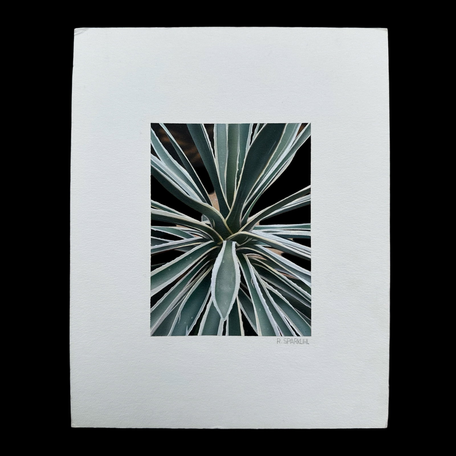 Rudy Sparkuhl, Untitled, "Little Agave" Original: Rudy Sparkuhl, Untitled, "Little Agave" original on artist board, signed lower right. Image: 4" x 3".