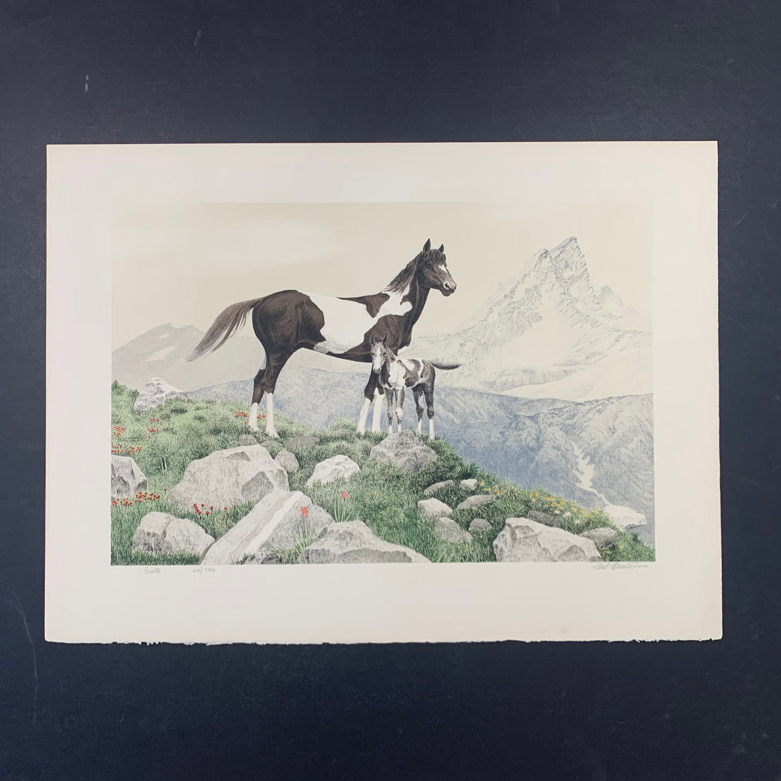 Mel Hunter's "Pinto" Limited Edition Print: Mel Hunter's "Pinto" limited edition print, signed lower right, and numbered 66/500. This piece is of a mother horse and her baby standing on the edge of a grassy cliff, with a mountain range in the b