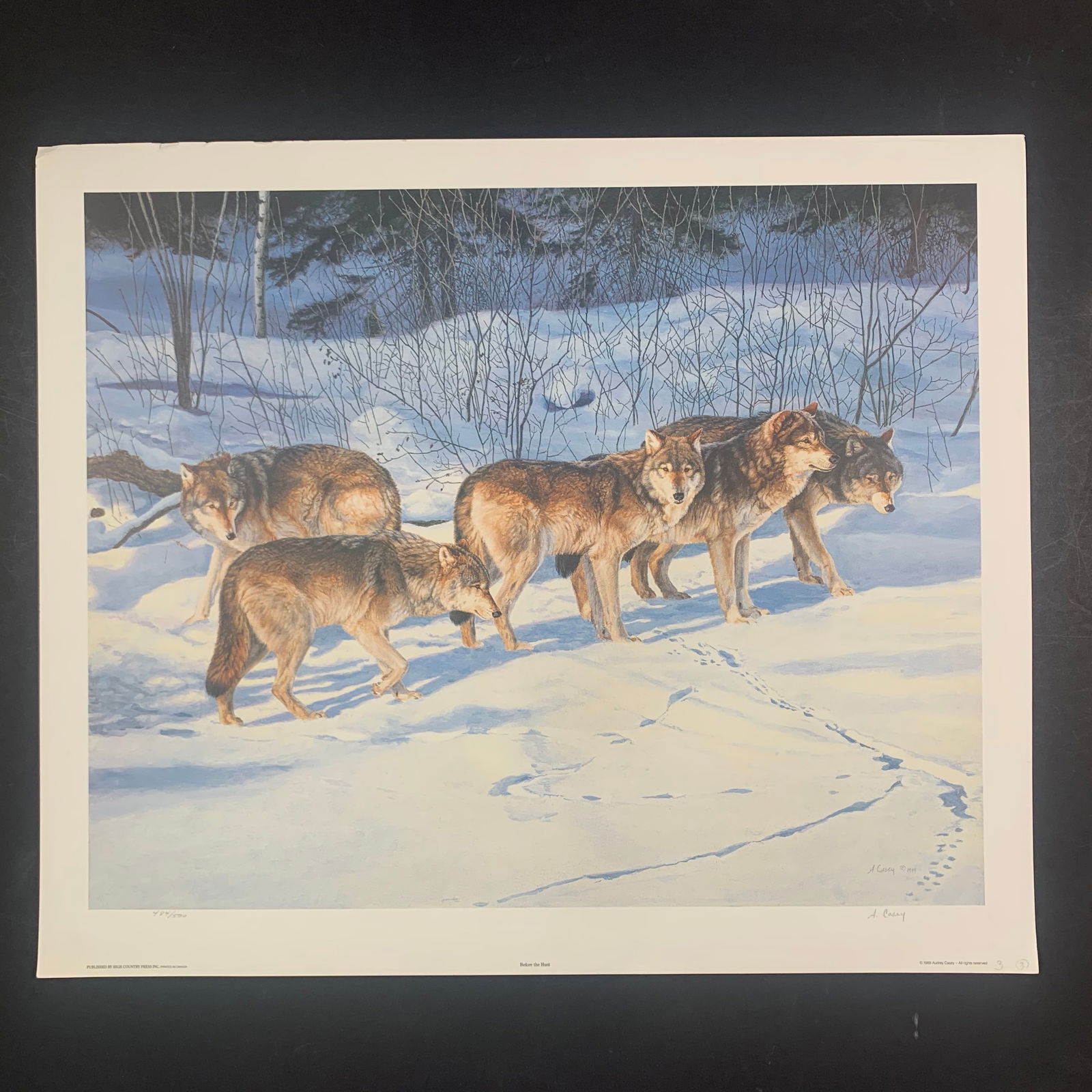 Audrey Casey's "Before the Hunt" Limited Edition Print: Audrey Casey's "Before the Hunt" limited edition print, signed lower right and numbered 484/500 lower left. This piece is of a pack of wolves in the snow, and is in good condition with wrinkles and mi