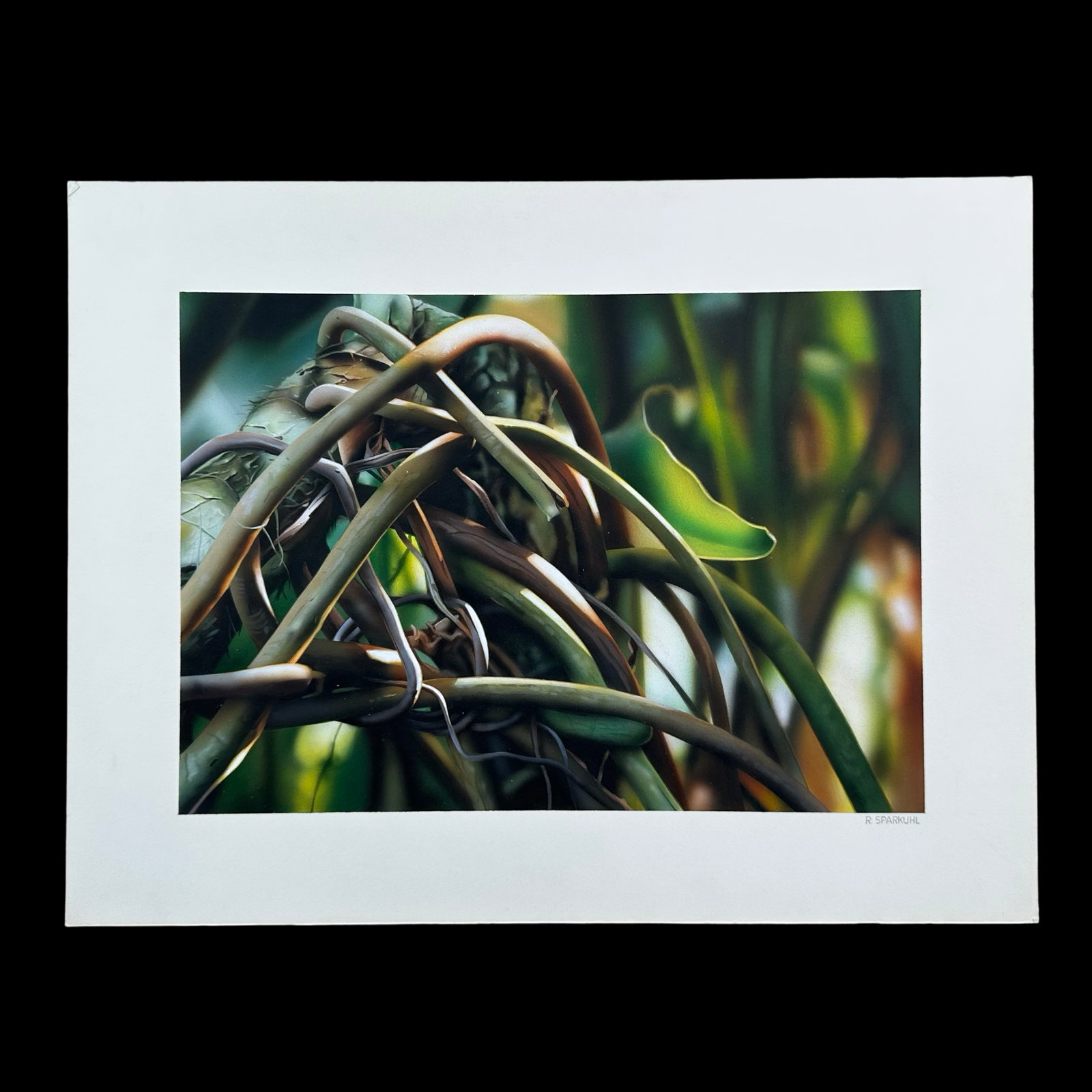 Rudy Sparkuhl, Untitled, "Tangled Stems" Original: Rudy Sparkuhl, Untitled, "Tangled Stems" original on artist board, signed lower right. Image: 10" x 7".