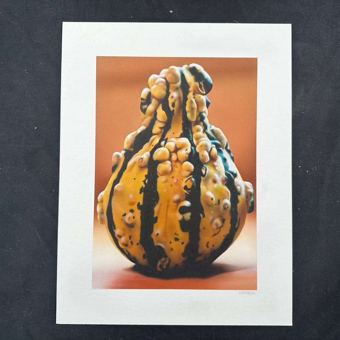 Rudy Sparkuhl, Untitled, "Gourd" Original: Rudy Sparkuhl, Untitled, "Gourd" original on artist board, signed lower right. Image: 10" x 7".