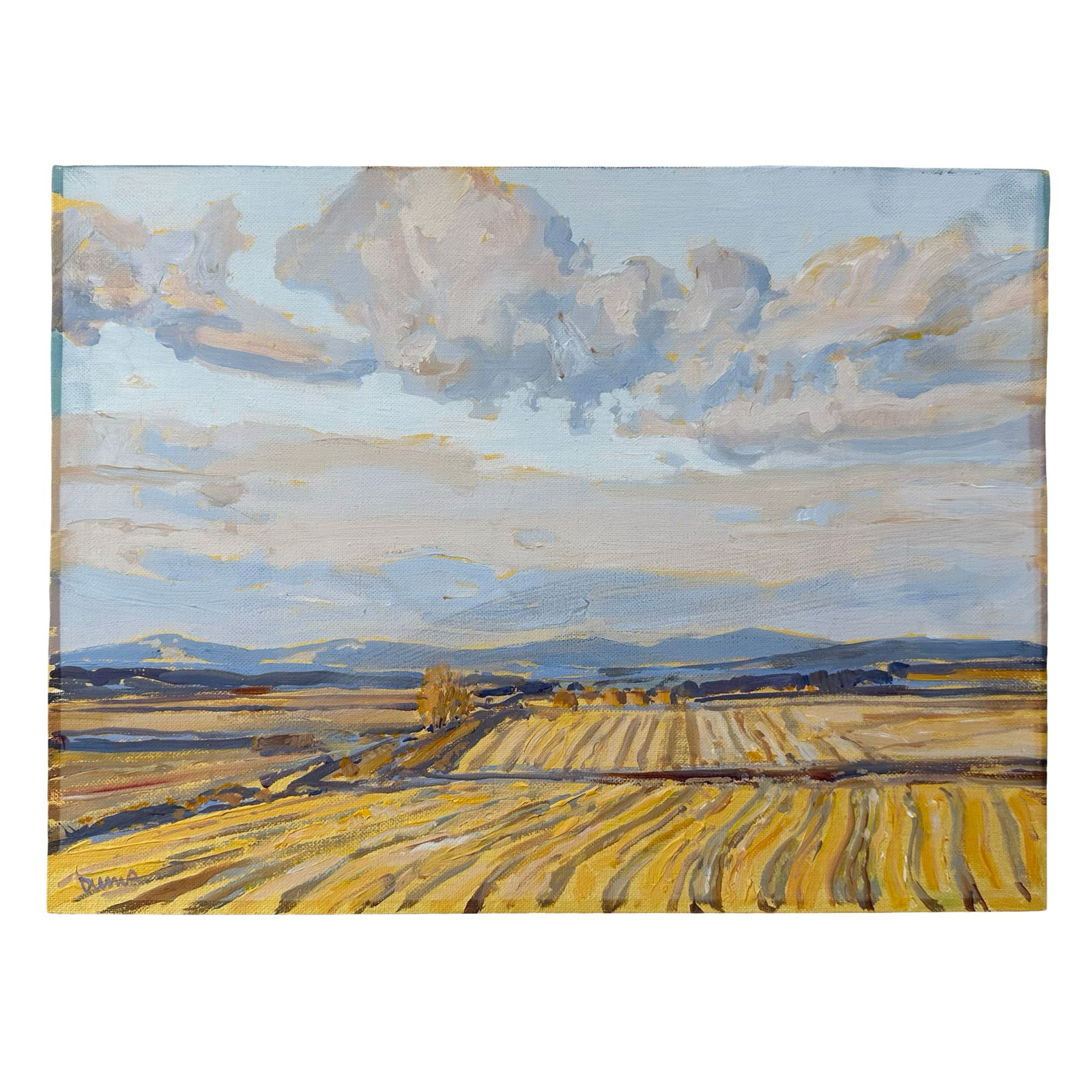 Duma's "Field and Clouds" Original: Immerse yourself in the serene beauty of the countryside with this luminous landscape painting titled Field and Clouds by the talented contemporary artist Duma. Measuring an ideal 16" x 20", this orig