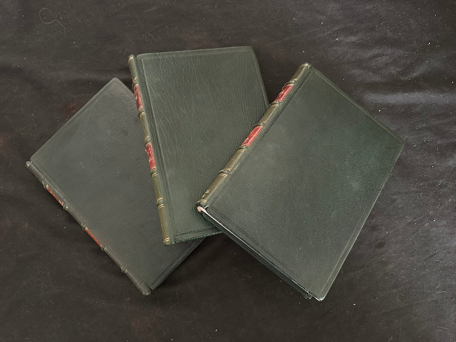 Africa Literature Cockrill Series 3 Leather Bound Volumes, Payne and Cape, Ethiopa, and Vols. 1 & 2 (1 of 3)