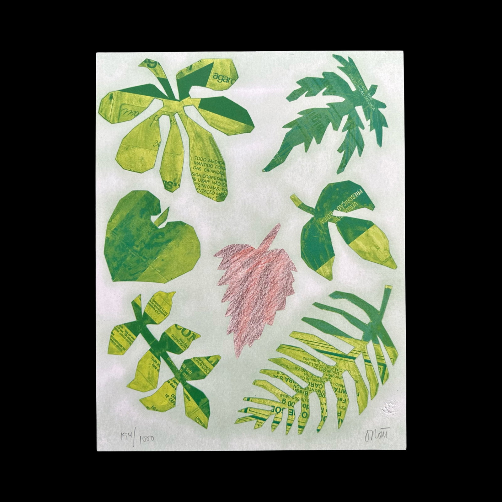 Otavio Roth's "Medicinal Plants" Limited Edition Print: Otavio Roth's "Medicinal Plants" limited edition print, signed lower right and numbered 194/1000 lower left. From the World Federation of United Nations Associations collection. Included with certific