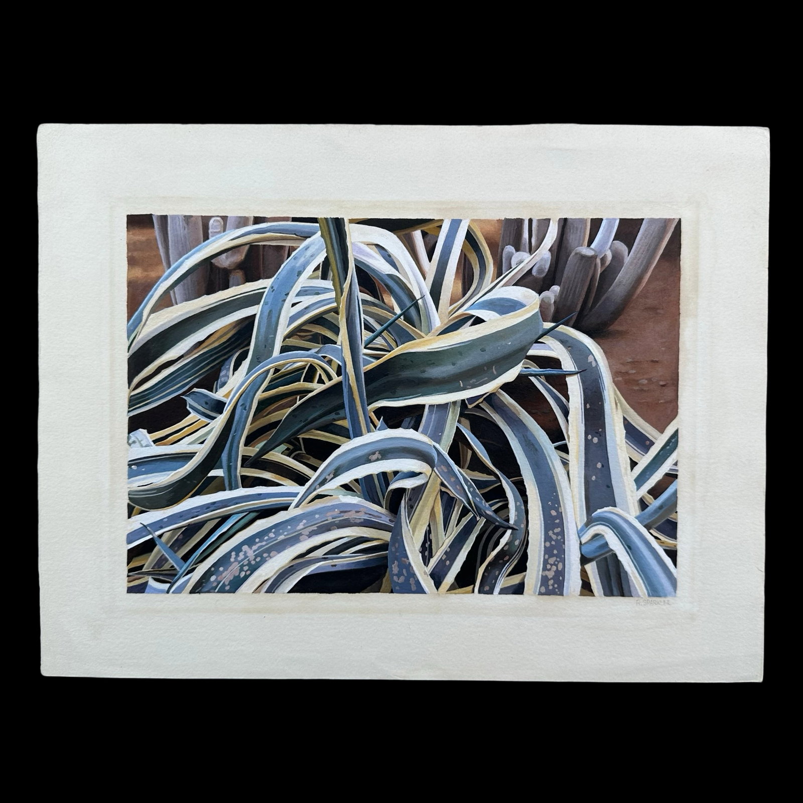 Rudy Sparkuhl, Untitled, "Agave Plant II" Original (1 of 1)