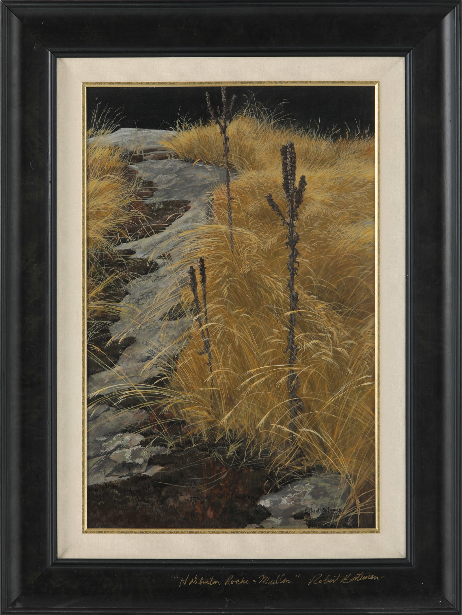 Robert Bateman's "Haliburton Rocks Mullen" Original: Robert Bateman's "Haliburton Rocks Mullen" original acrylic on masonite painting. This was painted in 1960. This painting is beautifully framed, and the frame is titled and autographed by the artist, 