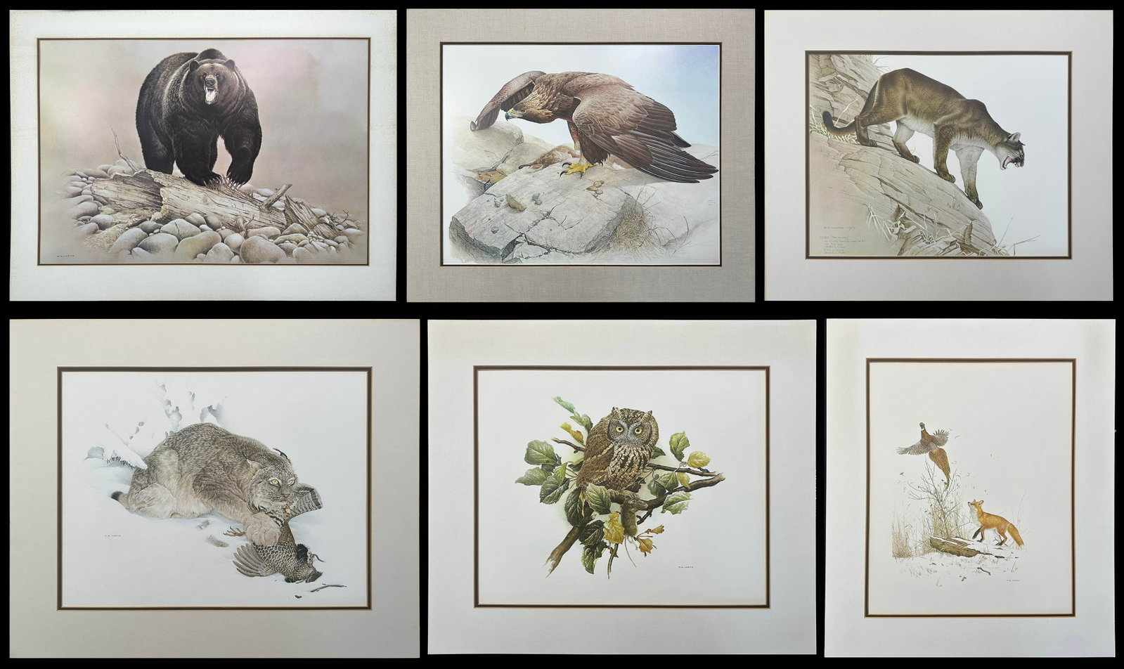 Glen Loates North American Wildlife Art Print Collection - Six Original-Format Matted Prints (1 of 7)