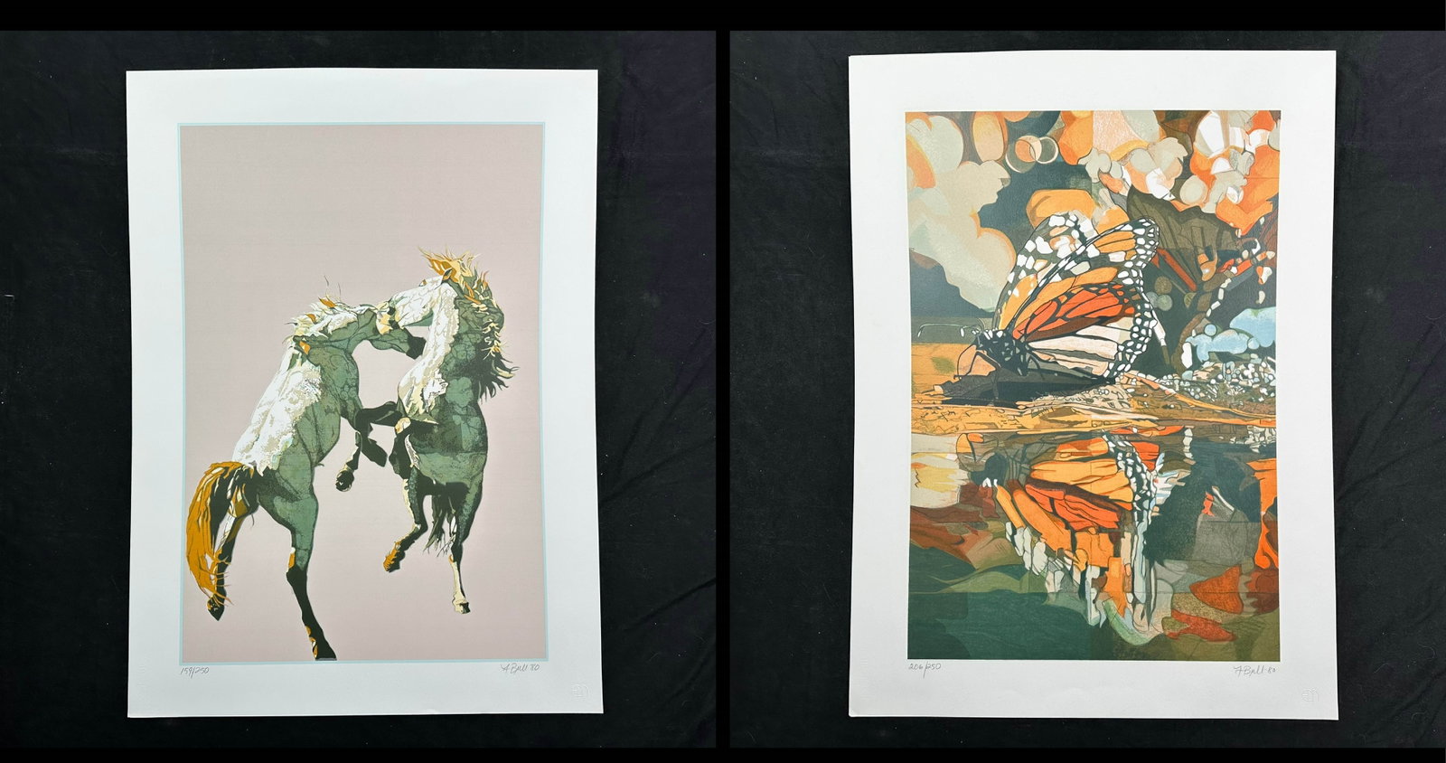 Fran Bull Limited Edition Prints (1 of 3)