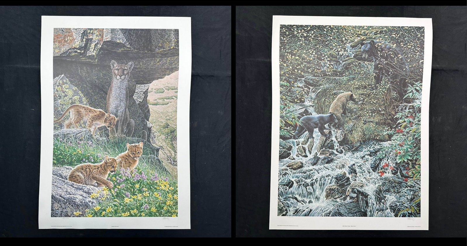 Richard Stanley Limited Edition Prints (1 of 3)