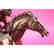 Jockey on Racehorse "After the Race" signed - 5