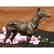 Signed Vintage GreyHound Bronze Statue Racing Dog Racer