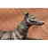 Signed Vintage GreyHound Bronze Statue Racing Dog Racer - 2