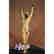 Gold Patina Starfish Dancer by Demetre Chiparus Bronze - 3