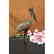 REMBRANDT BUGATTI STORK EXOTIC BIRD BRONZE SCULPTURE - 5