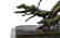 VINTAGE LORENZL DIANE HUNTER Bronze Sculpture - 4