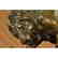 Lion and Snake Bronze Sculpture on Marble Base Statue - 5