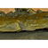 Thoroughbred Horse Equestrian Bronze Statue - 6
