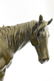 Racing Horse Trophy Bronze Statue - 7