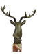 Buck Deer Elk Stag Bronze Sculpture - 3