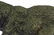 Ferocious Bear Art Deco Wild Life Bronze Sculpture - 7