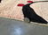 Modern Design Hand Made Carved Runner 2.6x8 - 6