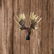Cold Cast Bronze Moose Head Wall Mount Sculpture - 2