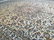 MAGNIFICENT AUTHENTIC PERSIAN KASHAN RUG 9'.9"X13'.0" - 8