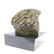 Eagle Garden Park Zoo Statue on Marble Base Figurine - 7