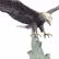 Eagle Bronze Statue - 2