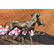 Real Cast Bronze Marble Statue Gun Dog Retriever Rabbit - 3
