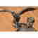 item-120264020=2