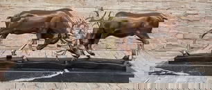 Collector Edition Bronze Stags Statue: Limited Edition Fighting Deer Figurine