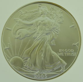 2005 1 oz Fine Silver one Dollar Eagle US Coin