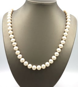 White fresh water pearl necklace