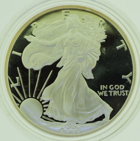 2003-W United State Mint American Eagle One Ounce Silver Proof Coin