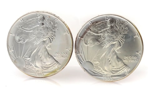 Pair of 1993 American eagle