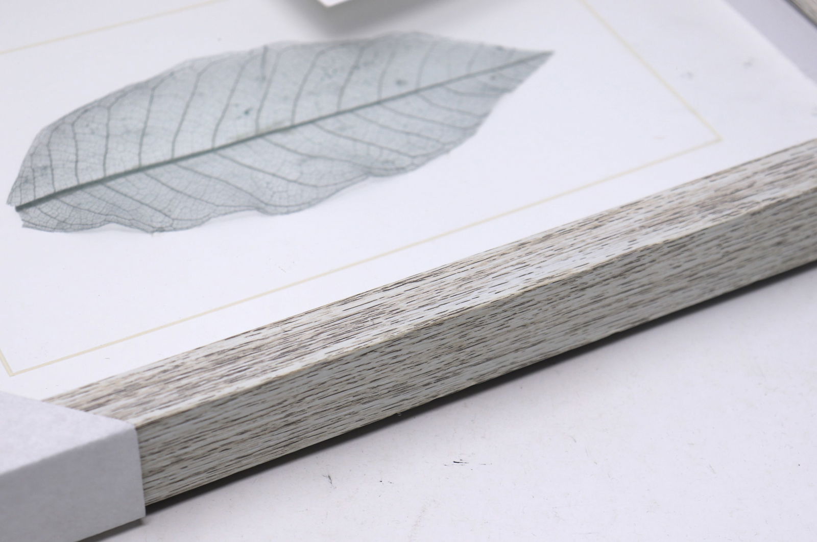 Leaf Shadow Box Collection - 4