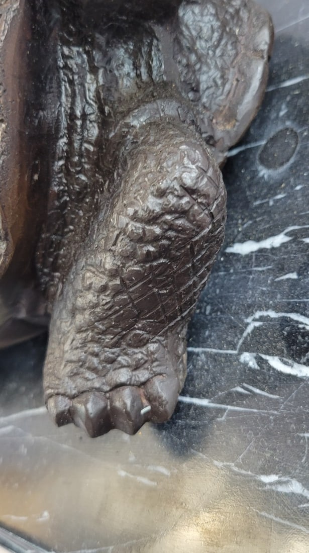 Turtle Bronze Statue - 8