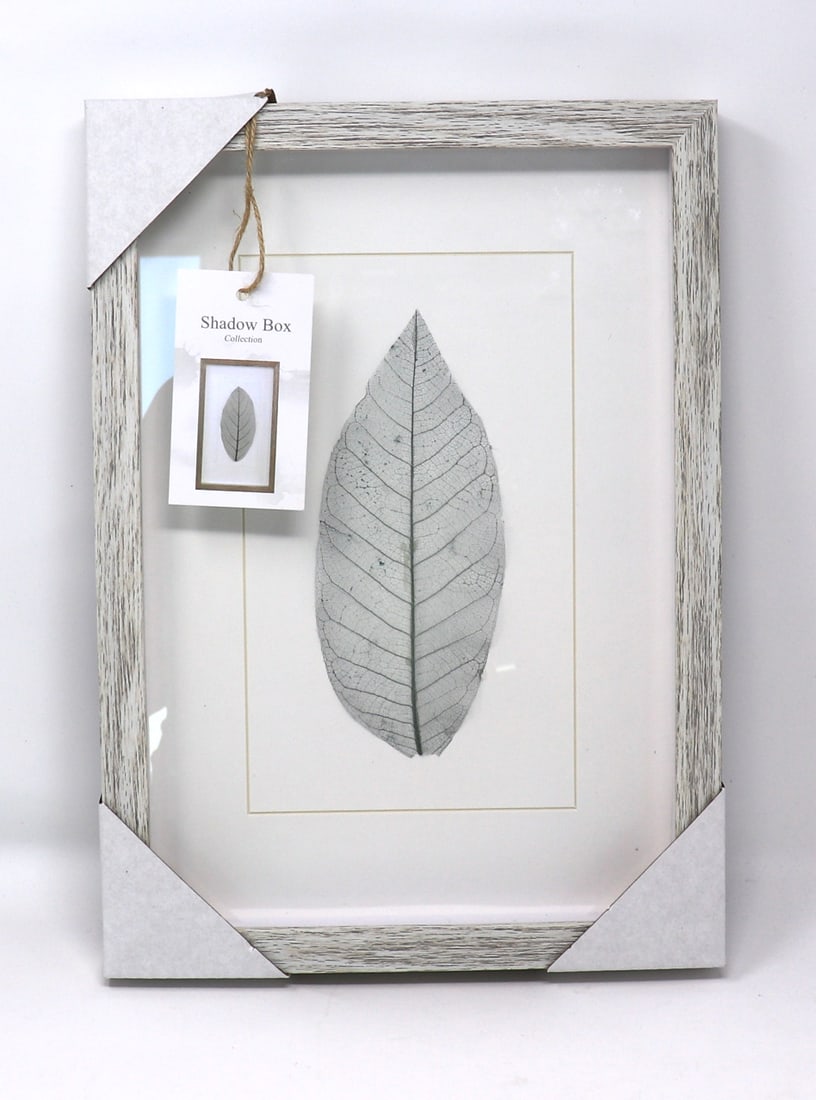 Leaf Shadow Box Collection