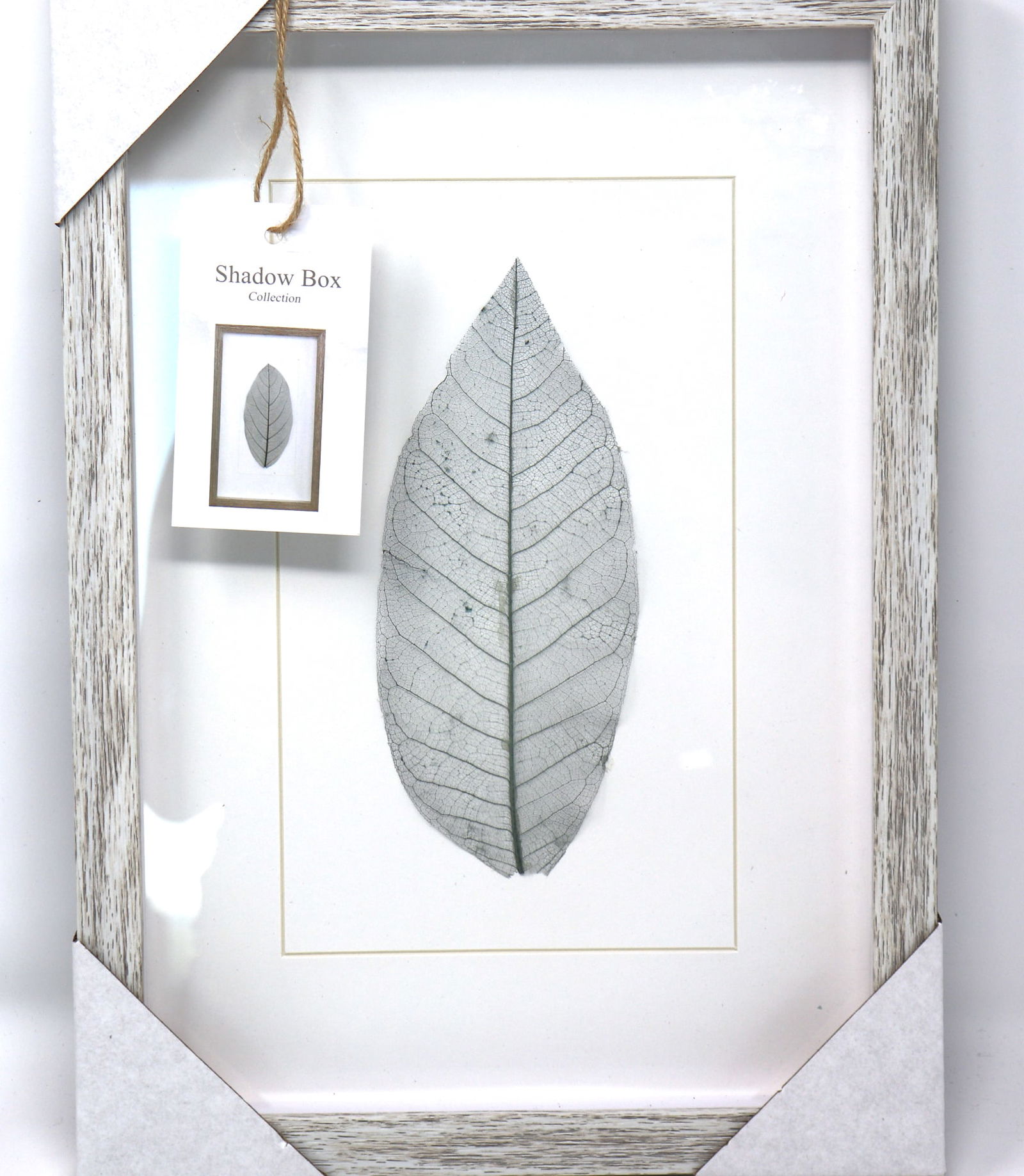 Leaf Shadow Box Collection - 2