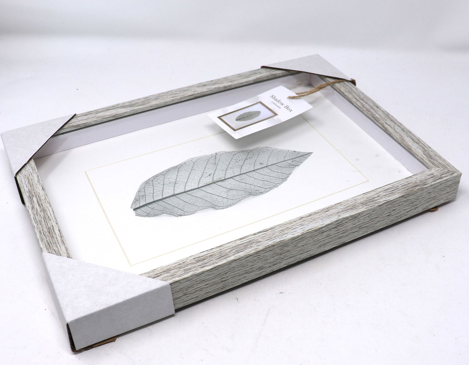 Leaf Shadow Box Collection - 3