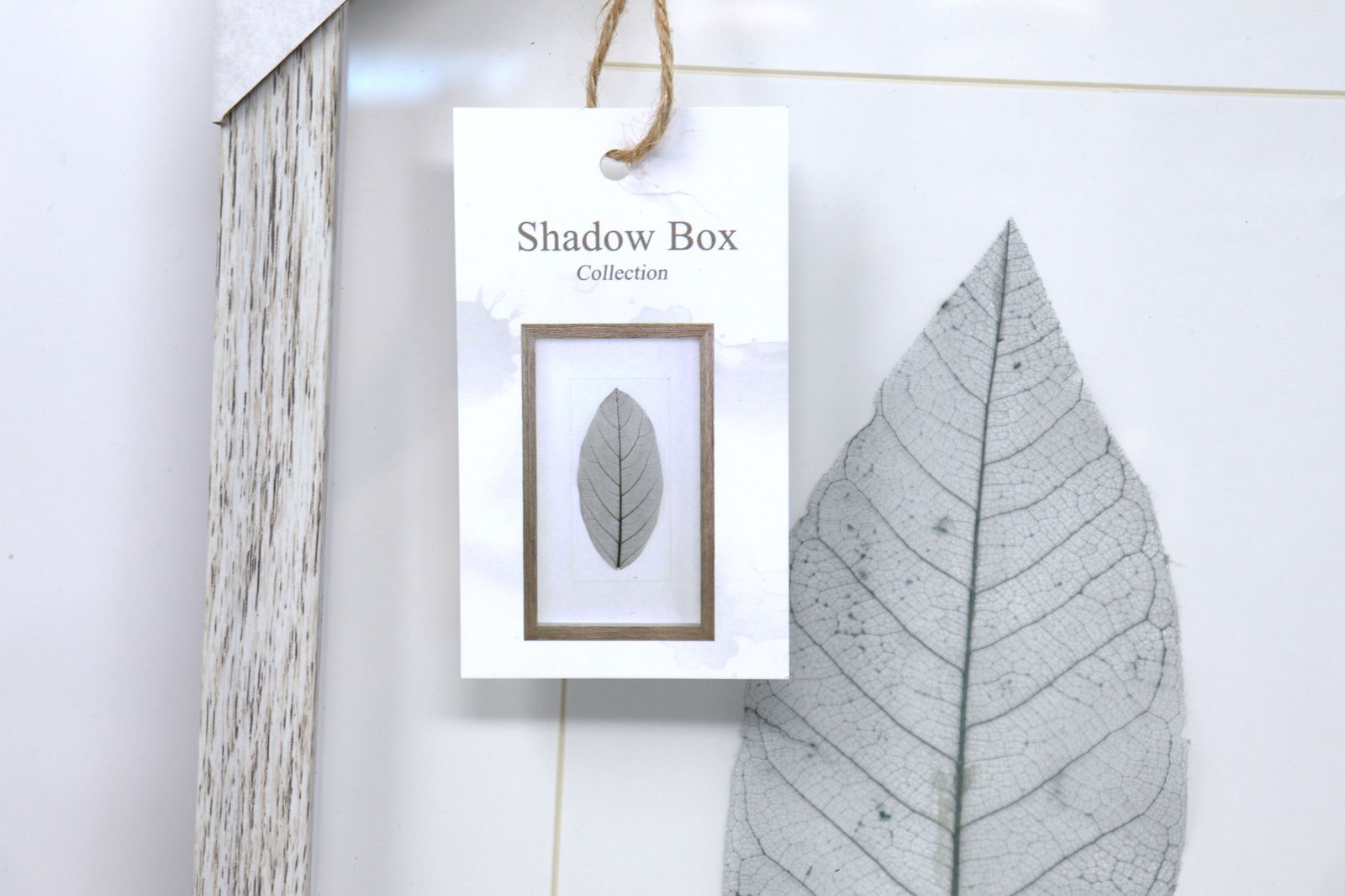 Leaf Shadow Box Collection - 5