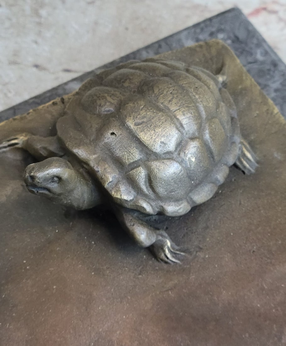 Little Girl Playing With Turtle Bronze Sculpture - 7