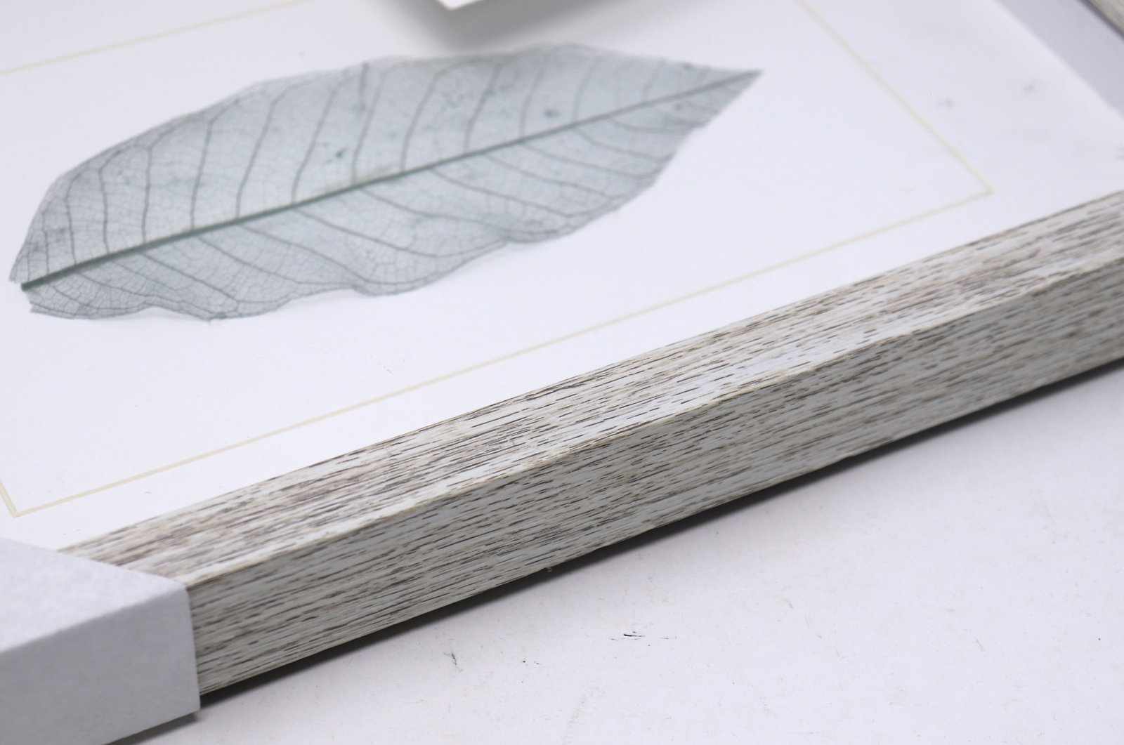 Leaf Shadow Box Collection - 4