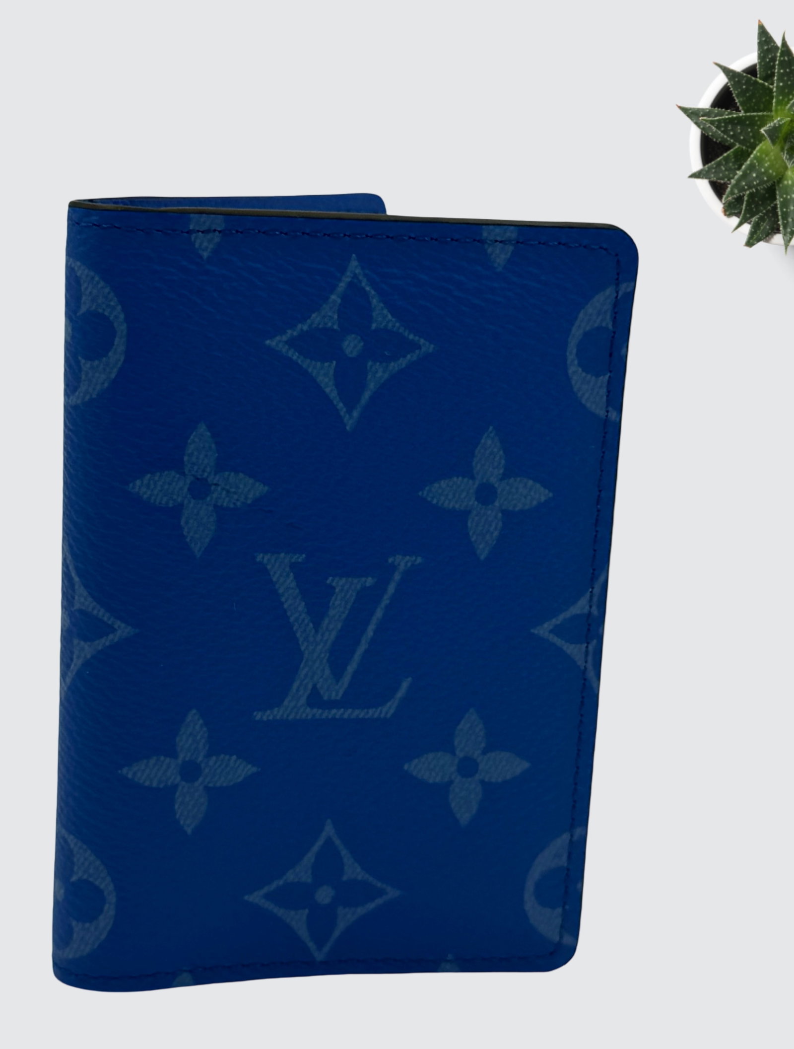 Louis Vuitton Taigarama pocket organizer wallet (1 of 9)