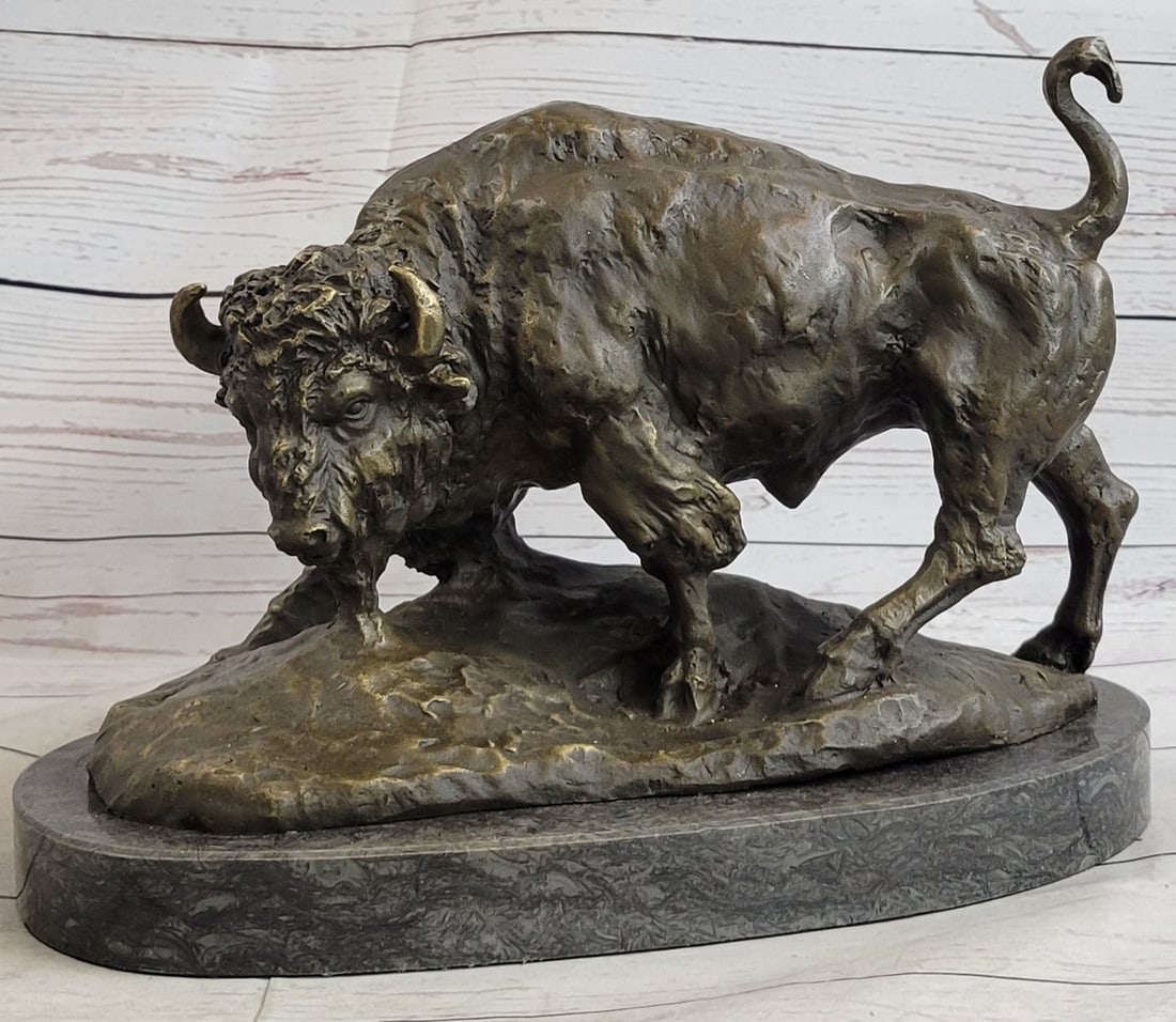 American Buffalo Bull Bronze Sculpture: Bulls are much more muscular than cows, with thicker bones, larger feet, a very muscular neck, and a large, bony head with protective ridges over the eyes. These features assist bulls in fighting for