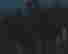 item-65494790=3